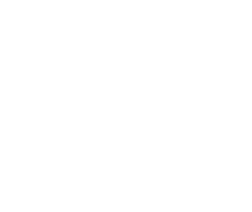 logo TIM blanc